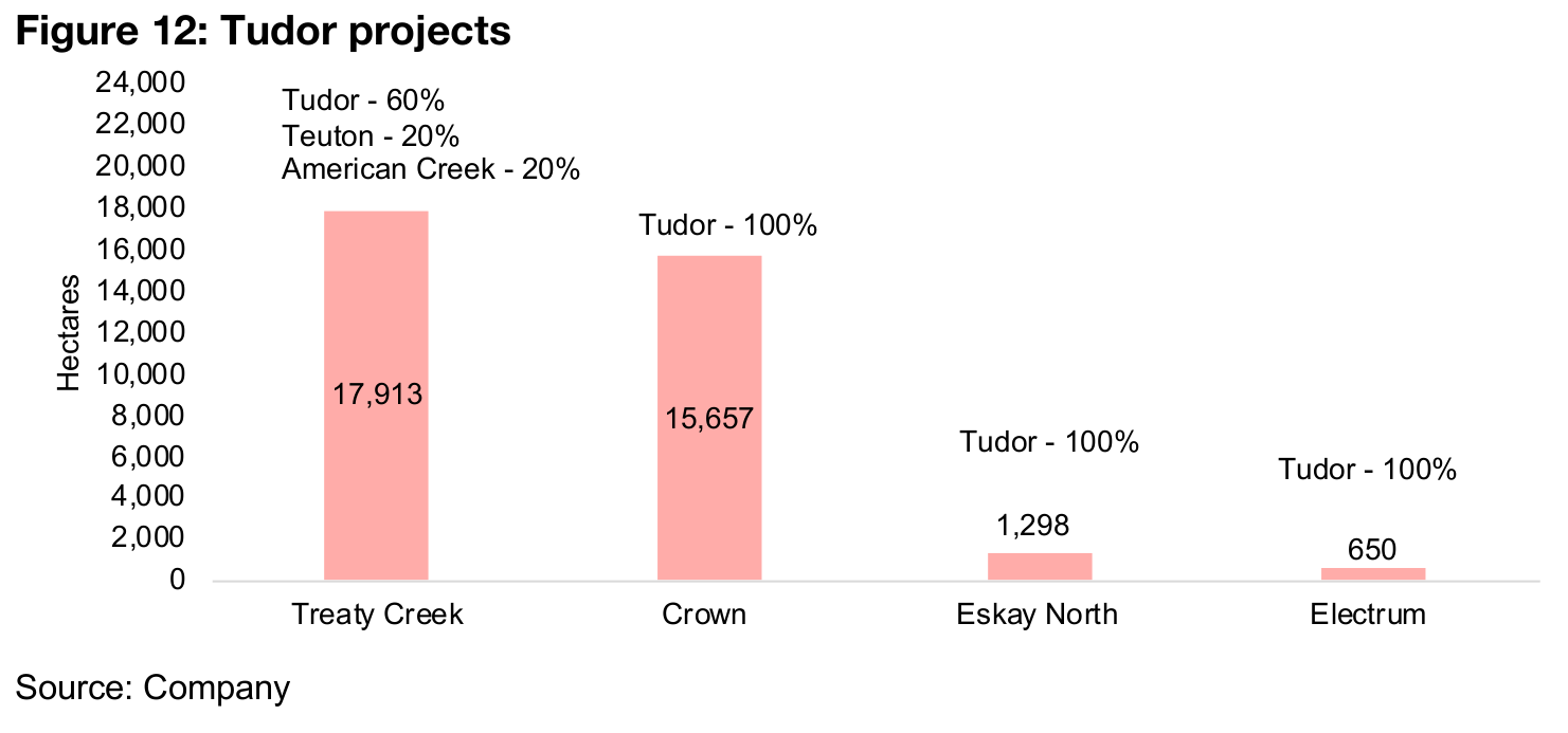 Tudor has four properties, one 60% JV, three 100% owned