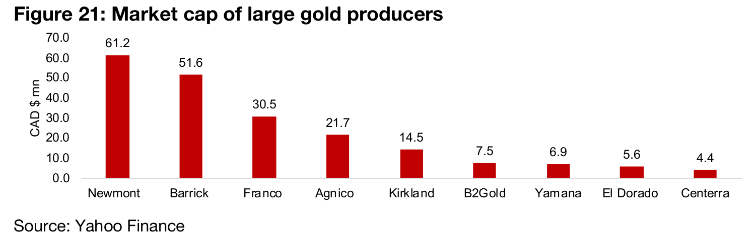 Gold producers have a strong year on continued rise in gold price