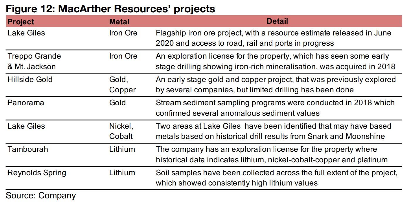 Exposure to other metals potentially through early-stage projects