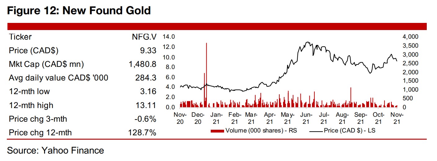 In Focus: New Found Gold (NFG.V) 