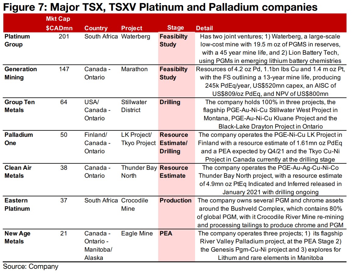 TSX and TSXV larger palladium and platinum companies