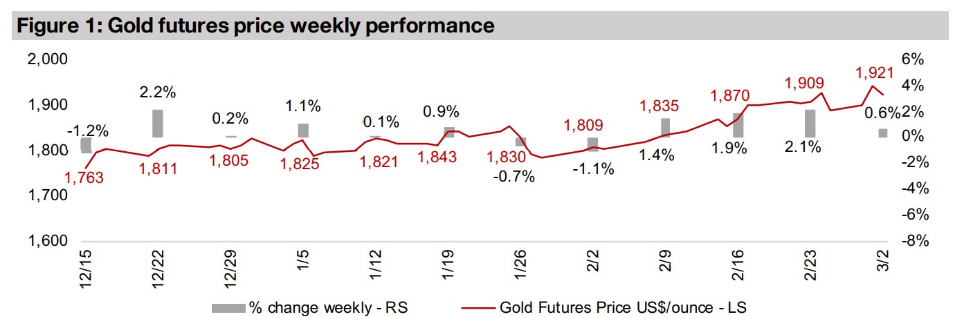 Producers and juniors rise on gold gains