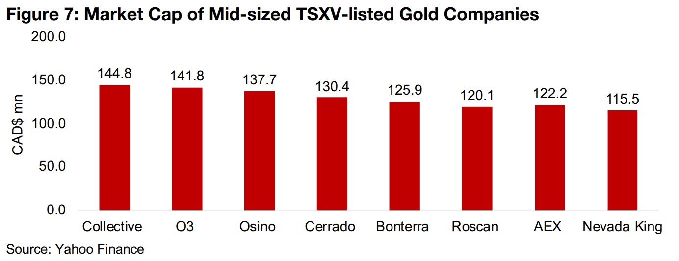 A look at the mid-sized TSXV-listed gold companies 