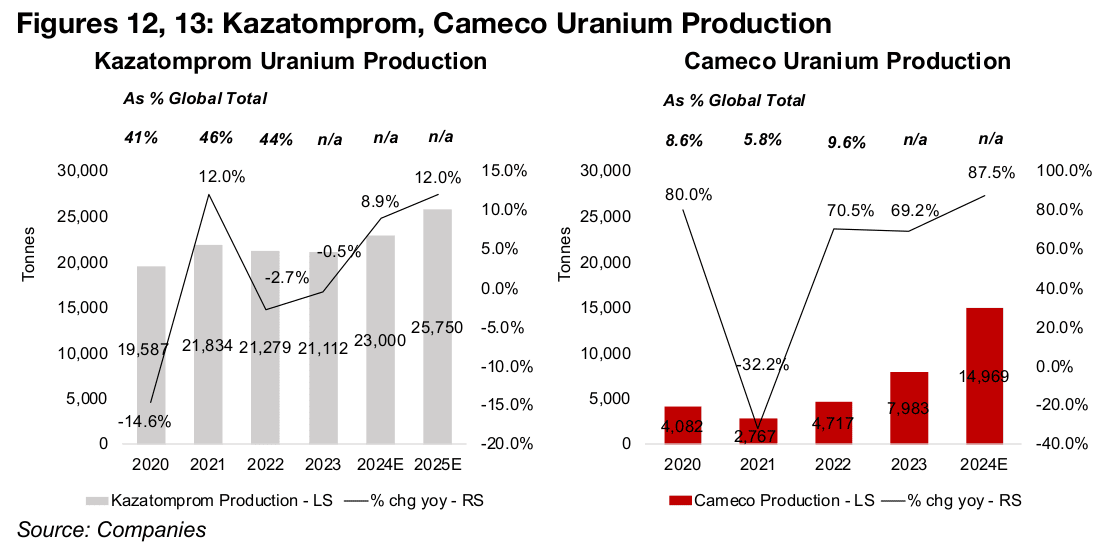 Kazatomprom and Cameco lead the global uranium market