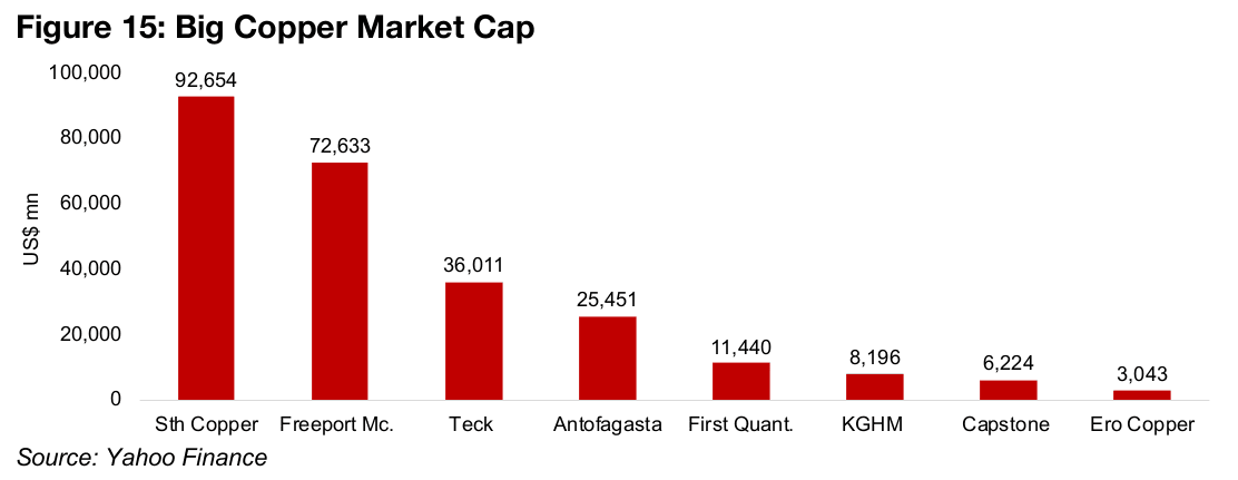 Big Copper has strong year, but market sees limited upside