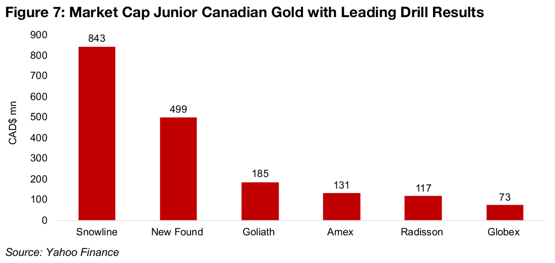 Snowline, New Found and Amex down even as drill results remain robust