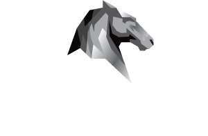 Bayhorse Silver Inc.